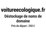 Photo 1/1 du lot