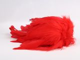 a red bird that is laying down on the ground