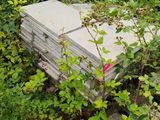 a lot of old tombstones that are in the grass