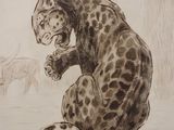 drawing of a leopard sitting on its hind legs in a field