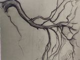 drawing of a bird perched on top of a tree branch