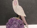 un oiseau blanc perché sur un rocher violet
