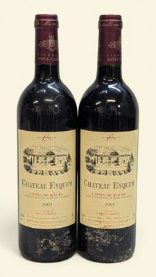 deux bouteilles de vin posées l'une à côté de l'autre sur une surface blanche