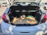 a trunk of a car with a dog inside of it