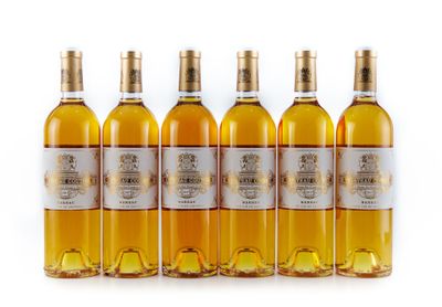 six bottles of white wine are lined up in a row