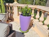 une jardinière violette posée sur le balcon d'une maison