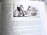 un livre ouvert sur lequel figure le dessin d'un homme et d'un chien