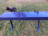 un chien qui se tient à côté d'une table bleue