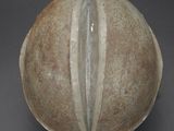 a brown bowl with a white stripe on the inside of it