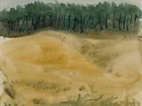 a drawing of a field with trees in the background