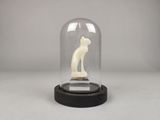 une photo représentant une statue de chat placée sous un dôme en verre, posée sur une table
