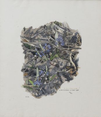 an image of a drawing of a blue flower on a piece of paper