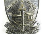 an image of a metal badge with a sword and shield on it