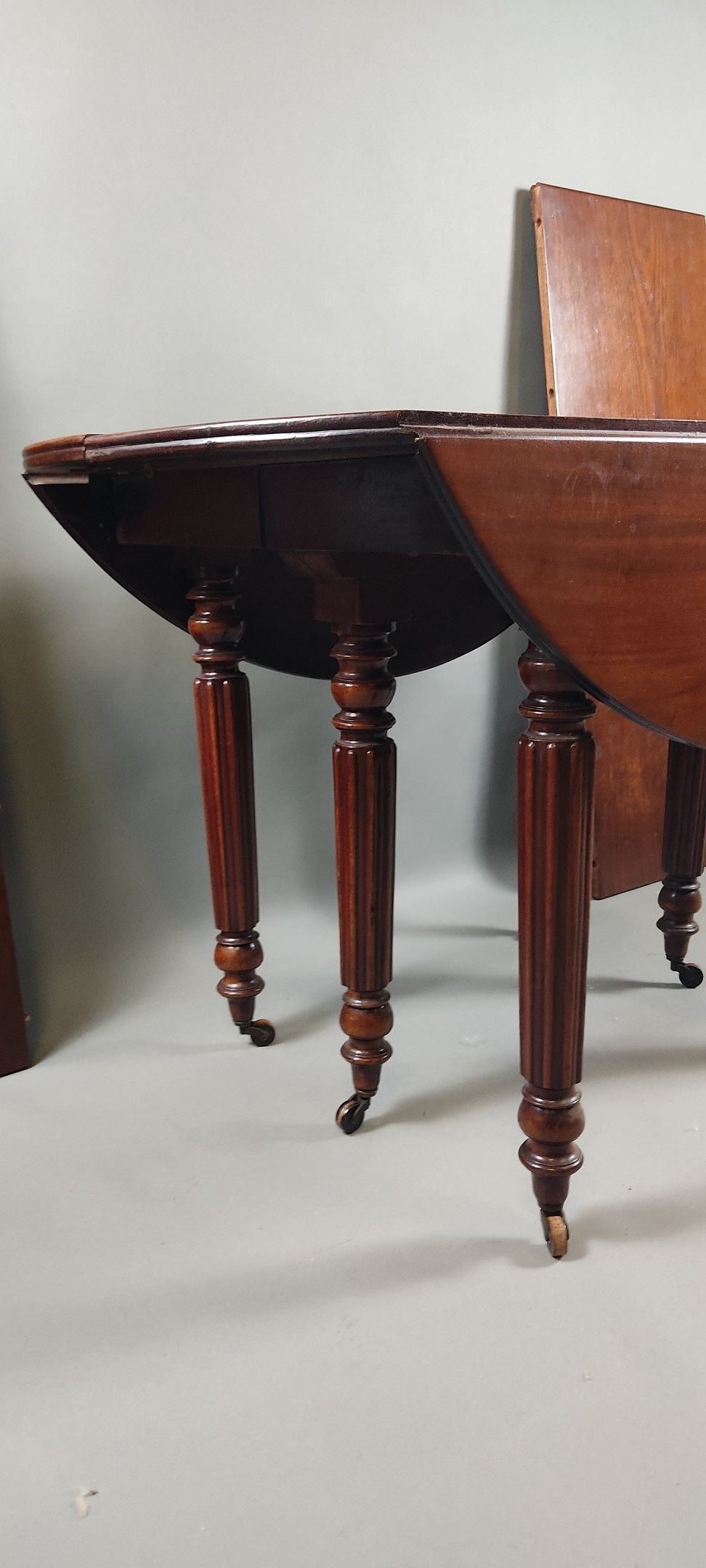 Objets d'art & Curiosités