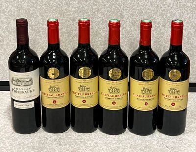 six bouteilles de vin rouge alignées sur un plan de travail
