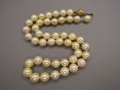 Collier de perles (diamètre 0,80 cm) chocker, fermoir en or …