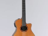a close up of a guitar on a white background