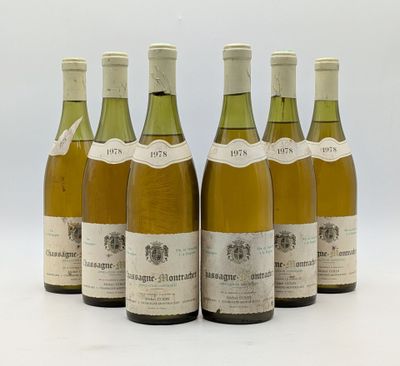 six bouteilles de vin sont alignées sur une surface blanche