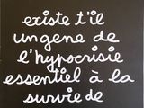 Photo 1/3 du lot