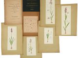 une pile de vieux livres décorés de fleurs, empilés les uns sur les autres