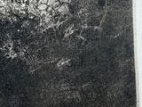 a black and white photo of a picture of a tree