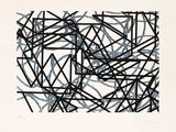 an image of a black and white drawing on paper