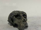 a skull sitting on a white surface with a white background