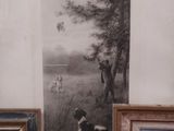 three framed pictures of a dog and a dog in a field