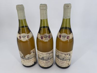 3 bouteilles Domaine Etienne Defaix, Chablis Premier Cru, Cô…