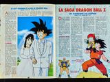 Photo 21/47 du lot