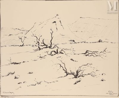 dessin représentant un paysage avec une montagne en arrière-plan
