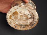 a person holding a piece of pottery in their hand
