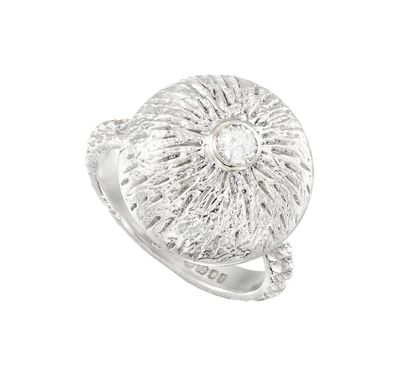 une image représentant une bague en argent sertie d'un diamant au centre