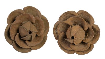 paire de deux fleurs en bois marron sur fond blanc
