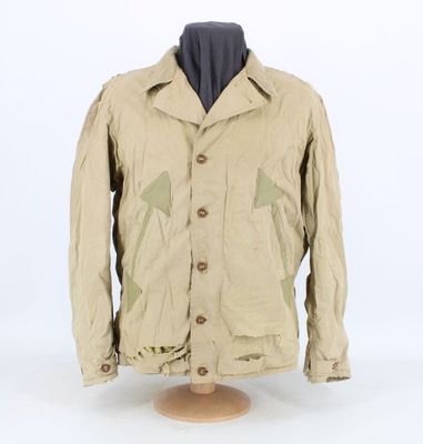 the jacket is tan and has a green design on it