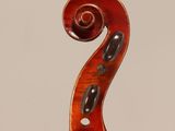 a close up of the back of a violin with a fiddle in the foreground