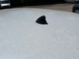 a black cone on the roof of a white car