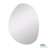 Miroir mural LED HOMCOM 834-783V00SR - Forme organique tacti…