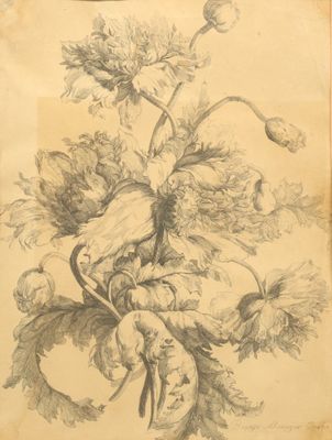 Ecole du XIXe siècle, fleurs, gravure - A vue: 35 cm x 25 cm…