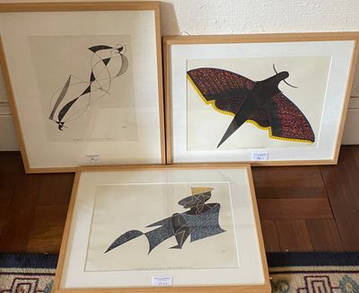 three framed prints of birds and moths on a rug in a room