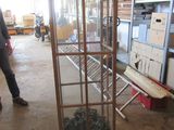 une vitrine contenant plusieurs plantes