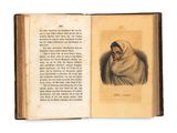 an open book with a drawing of a woman in a headscarf