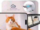 a picture of a cat sitting on a chair with a camera next to it