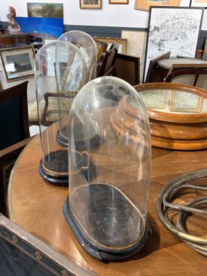 de nombreuses cloches en verre posées sur une table dans une pièce