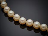 un collier de perles de culture sur fond noir