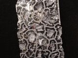 a picture of a piece of metal with a coin on it