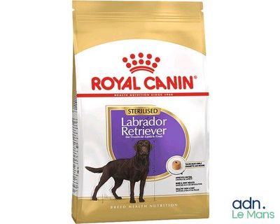 Royal Canin Labrador Retriever Adult : croquettes pour chiens adultes