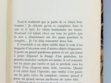 Photo 4/7 du lot