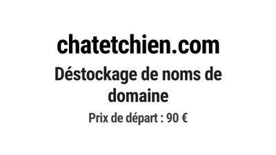 Nom de domaine chatetchien.com.