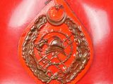 a red fire hydrant with a gold emblem on it
